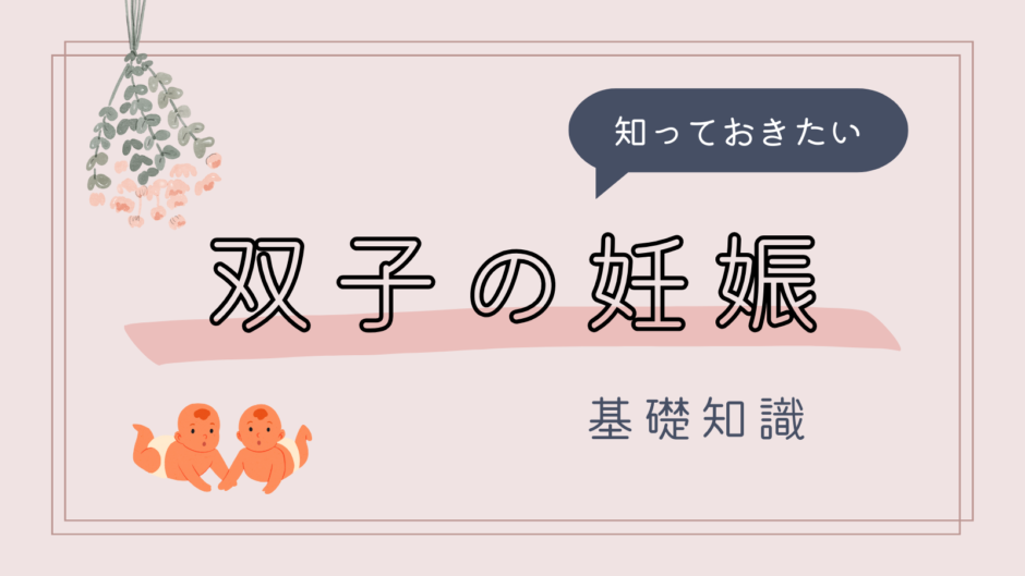 知っておきたい 双子の妊娠 基礎知識